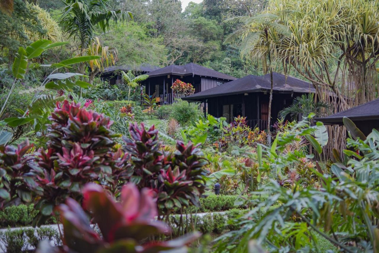 Hotel Lomas Del Volcan La Fortuna Kültér fotó